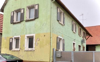 Zeiskam – Bauernhaus mit Scheune für Pferdehaltung und viel Potenzial
